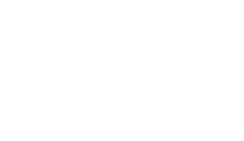 Chartered Accountants Australia & New Zealand logo