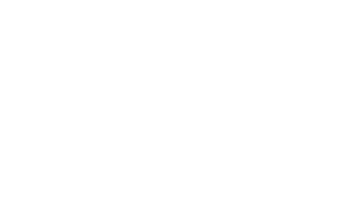 Chartered Accountants Australia & New Zealand logo